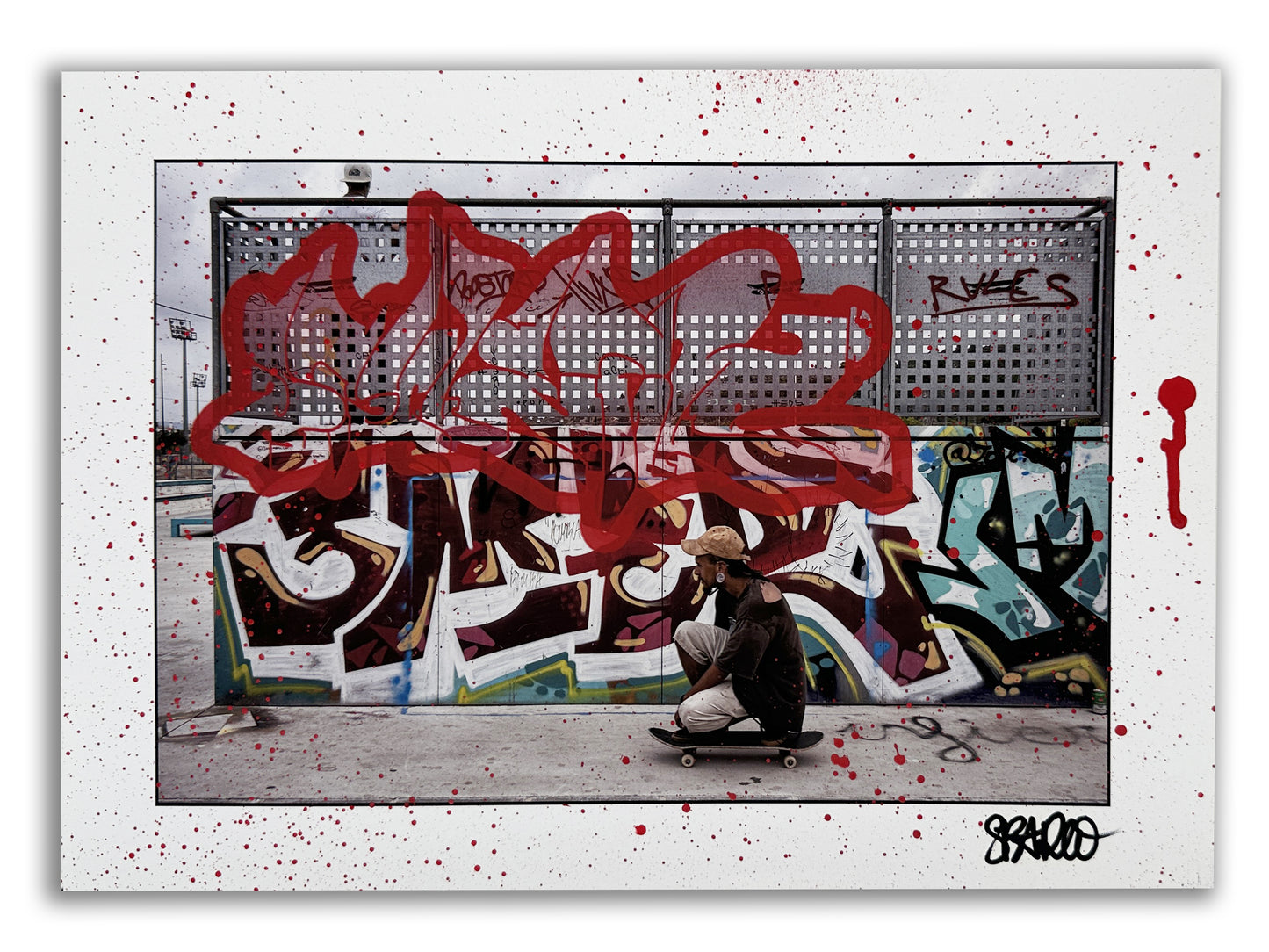 Art or Skate Collector