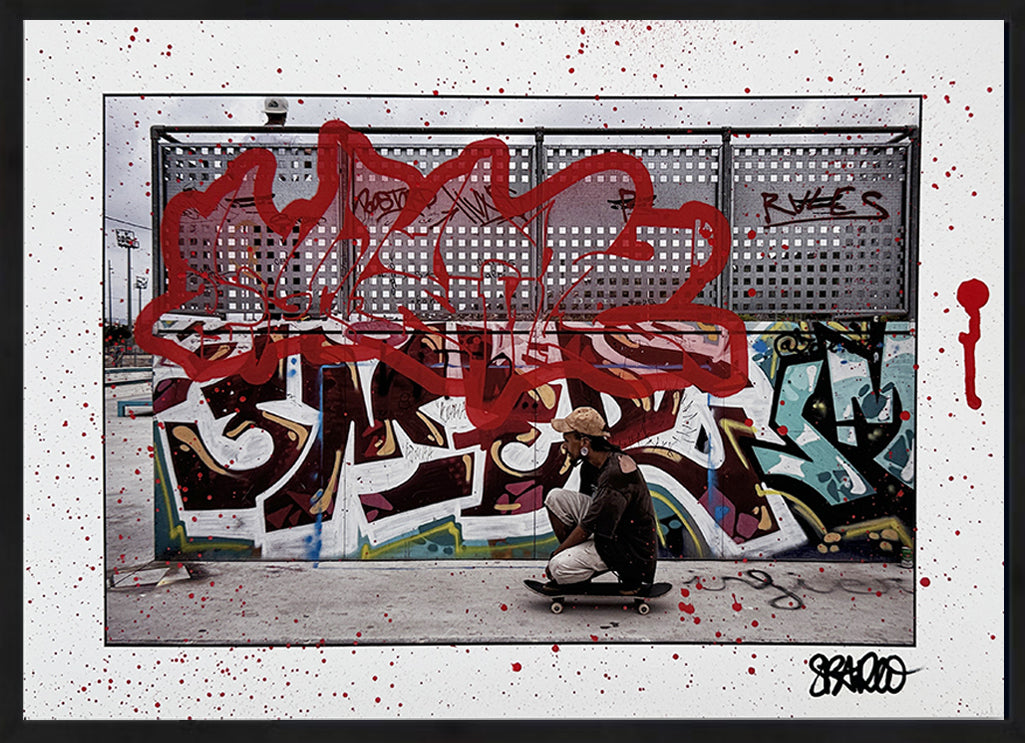Art or Skate Collector